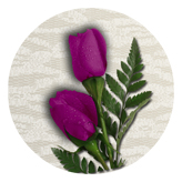 DAROUND 053 2 Roses Orchid